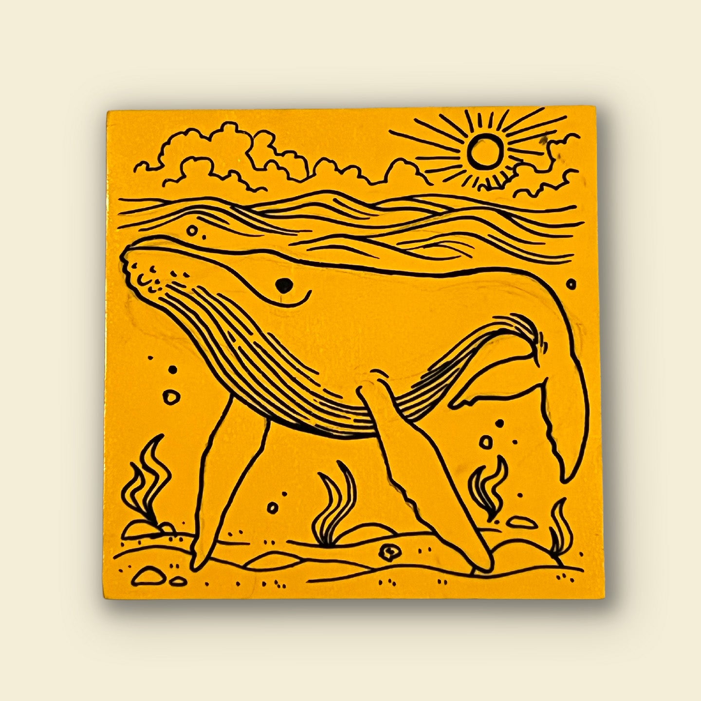 Humpback in the Shallows